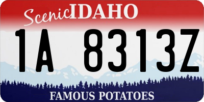 ID license plate 1A8313Z