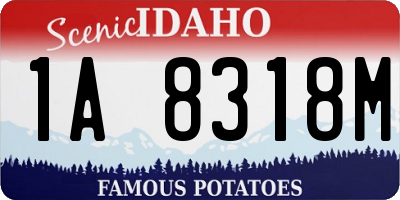 ID license plate 1A8318M