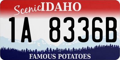 ID license plate 1A8336B