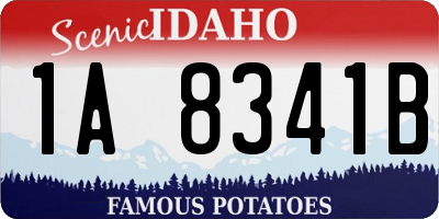 ID license plate 1A8341B