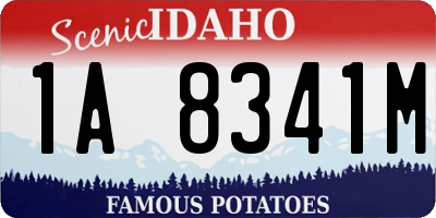 ID license plate 1A8341M