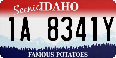 ID license plate 1A8341Y
