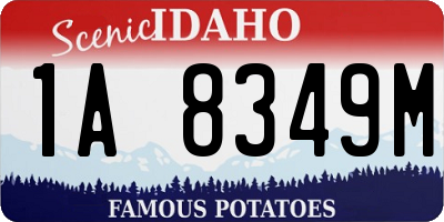ID license plate 1A8349M