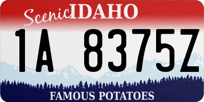 ID license plate 1A8375Z
