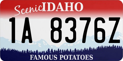 ID license plate 1A8376Z
