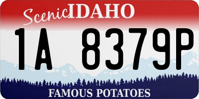 ID license plate 1A8379P