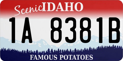 ID license plate 1A8381B