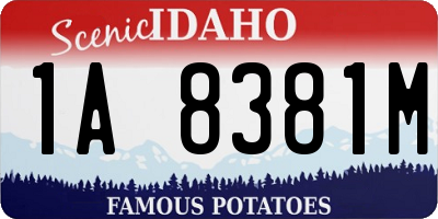 ID license plate 1A8381M