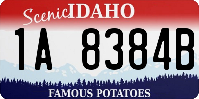 ID license plate 1A8384B