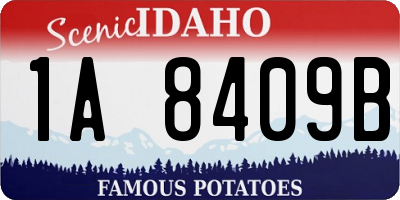 ID license plate 1A8409B