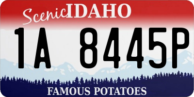 ID license plate 1A8445P