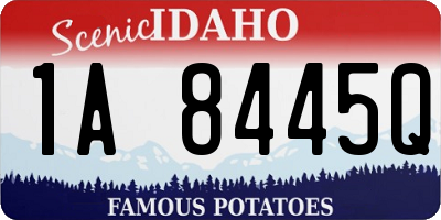 ID license plate 1A8445Q