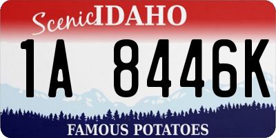 ID license plate 1A8446K