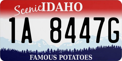 ID license plate 1A8447G