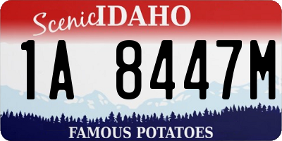 ID license plate 1A8447M
