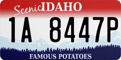 ID license plate 1A8447P