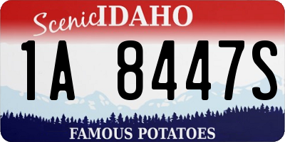 ID license plate 1A8447S