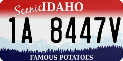 ID license plate 1A8447V