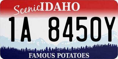 ID license plate 1A8450Y