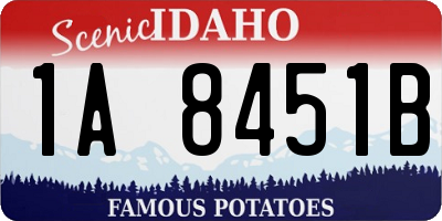 ID license plate 1A8451B