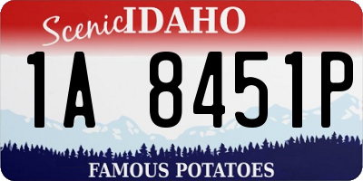 ID license plate 1A8451P