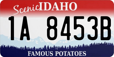ID license plate 1A8453B