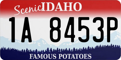 ID license plate 1A8453P