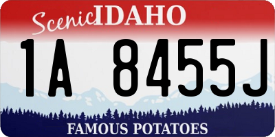 ID license plate 1A8455J