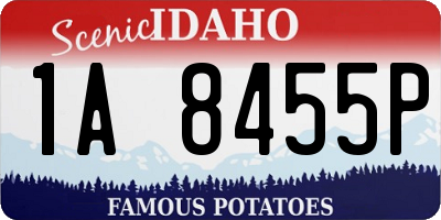 ID license plate 1A8455P