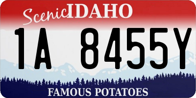 ID license plate 1A8455Y