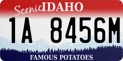ID license plate 1A8456M