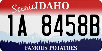 ID license plate 1A8458B