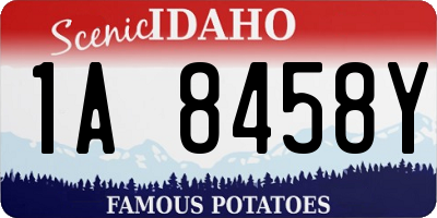ID license plate 1A8458Y