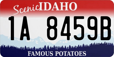 ID license plate 1A8459B