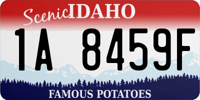 ID license plate 1A8459F