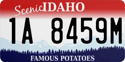 ID license plate 1A8459M