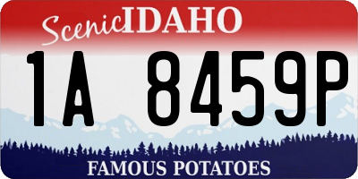 ID license plate 1A8459P
