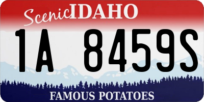 ID license plate 1A8459S