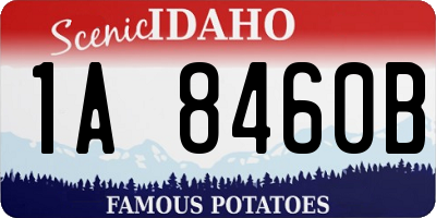 ID license plate 1A8460B
