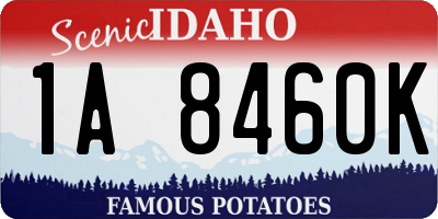 ID license plate 1A8460K