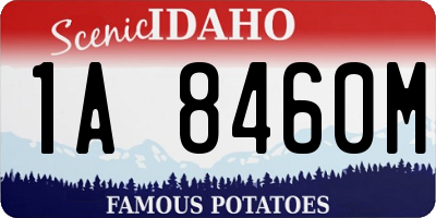 ID license plate 1A8460M