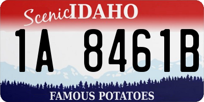 ID license plate 1A8461B