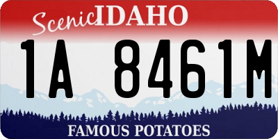 ID license plate 1A8461M