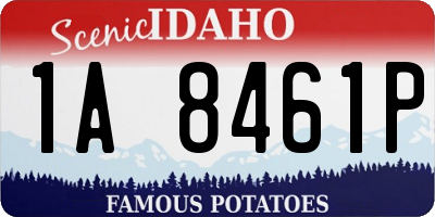 ID license plate 1A8461P