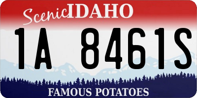 ID license plate 1A8461S