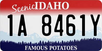 ID license plate 1A8461Y