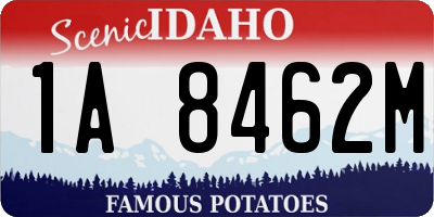 ID license plate 1A8462M