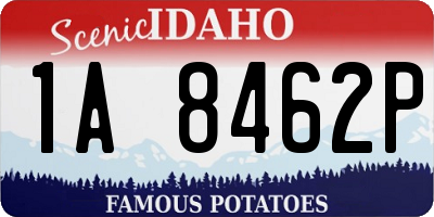 ID license plate 1A8462P