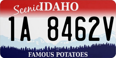 ID license plate 1A8462V