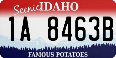 ID license plate 1A8463B